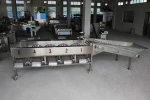 Large capacity 1t/h kiwi fruit sorting machine / potato grader / onion selector for sale