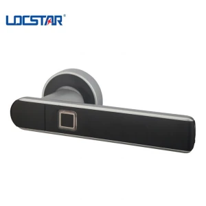 Locstar Best selling Small fingerprint lock
