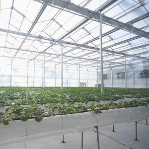 Low Cost Commercial Glass Greenhouse For Large-Scale Production