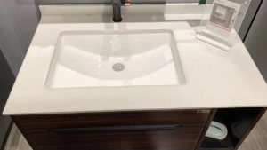 luxury bathroom furniture of stainless steel bathroom vanity waterproof