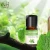 Import Manufacturer sale Certified Pure Natural Peppermint Essential Oil OEM Custom Body Massage Aromatherapy Essential Oils from China