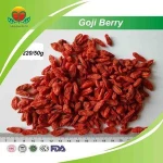 Manufacturer Supply Fresh Dried Goji Berry