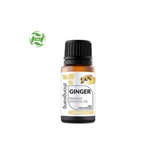 Manufacturer supply wholesale bulk price 100% pure natural ginger essential oil for body massage and hair growth