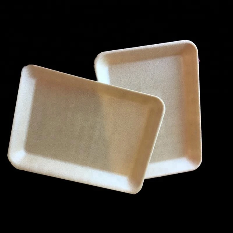 meat packaging PLA foam biodegradable disposable food container