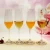 Import METIS great design unbreakable red wine cabernet plastic wedding Champagne flutes from China
