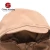 Import Military desert sharkskin jacket for outdoor waterproof fabric breathable function color khaki CF01 from China