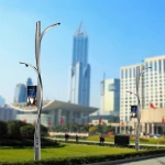 Modern decorative outdoor lighting garden 100w alltop lamp solar street light