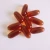 Import Monascus natto  Nattokinase Red Yeast capsules from China