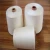 Import Ne 30/1 Lenzing Viscose Vortex(Mvs) Raw White Unwaxed for weaving yarn from China