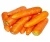 Import New crop fresh carrot specification for sale from USA