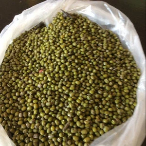 new crop green mung beans