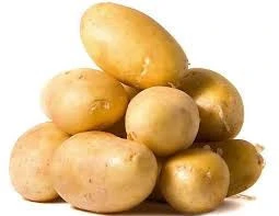 New Crop Holland Yellow Fresh Potato Ukraine