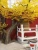 Import New design large  Artificial faxu ginkgo tree autumn  birch tree from China