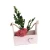 Import New Product Flower Half Square Hanging Wall wood Flower Basket from China