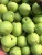 Import New season green shandong pear  fresh crown pear ya pear from China