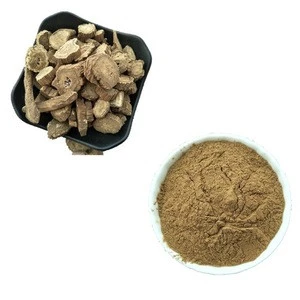 NIU Bang GEN GMP Standard High Quality Pure Great Burdock Achene Extract Powder