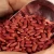 Import Non-GMO Light Speckled Kidney Bean 2017 Crop Kidney Bean from China
