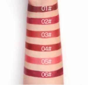 Nordic Wind Matte Lipstick Waterproof Velvet Lip glaze Sexy Red Color Brown Pigments Creamy Lipstick