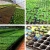 Import Nursery seedling flat starter Plastic Hydroponic planter Trays from China