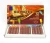 Import OEM 12 &amp; 24 colors DIY colorful water soluble oil pastels, Drawing Crayons, Water Pastels Children Drawing Set Art Supplies from China
