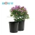 Import OEM black plastic nursery pots for nursery plants from China