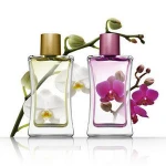 OEM ODM no brand name beauty & personal fragrances women perfume original brand wholesale perfumes your own brand perfume