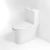 Import One piece water closet sanitary ceramic china s trap toilet bowl wc toilet ceramic from China