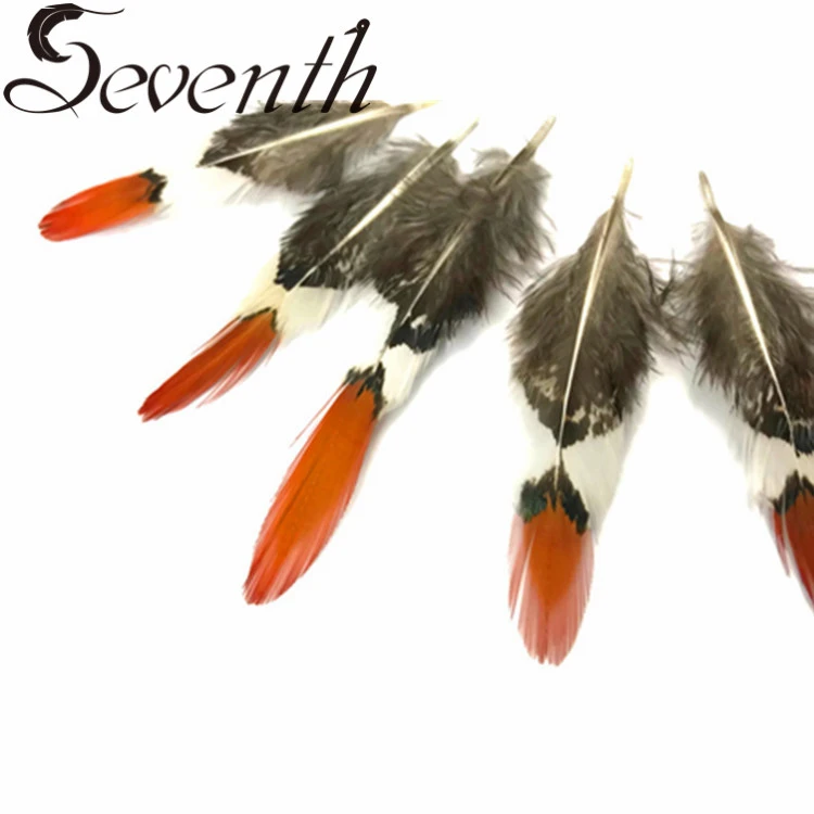 Orange tips Lady Amherst Pheasant Feathers from 5cm to 30cm Plumage