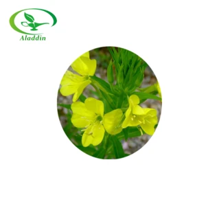 Organic plant extract Evening Primrose Extract powder 20:1 / Evening Primrose Extract / Oenothera biennis