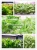 Greenhouses/hydroponic planter