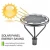 Import Outdoor Waterproof Motion Sensor Solar Powered LED Pole Wall Street Path Light For Garden from China