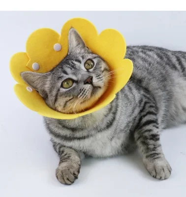 Pet Cat Dog Elizabeth Circle Collar Ring with Anti Licking Bite Lick Scratch Ring Medical Surgery Beauty Protective Head Cover Supplies Products