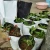 Import plastic black garden grow pots horticultural planter bags growing container from China