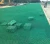 plastic Grass Paver grass grid for driveway parking lot