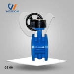 PN10 PN16 3 inch 4 inch worm gear cast iron flange butterfly valve price
