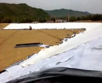 polyester/polyethylene geotextile non woven fabric 300g/m2 nonwoven geotextile