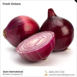 Premium Quality Lowest Price Fresh Red Onion for Sale