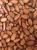Import Premium Quality Wholesale Dried Cocoa Beans from South Africa