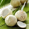 Premium Young Thai Coconut