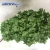Import Preserved Long Stem Hydrangea Flowers Cut Fresh Flower For Wedding from China