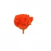 Preserved Roses- Peach (Large) Rose Pack 6