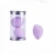 Import Private Label Foundation Puff Soft Beauty Sponge Makeup Blender with PVC Box from China