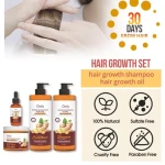 Private Label OEM Customize Hair Care Sets Ginger Nourishing Natural Wholesale Organic Shampoo and Conditioner For Dry Hair