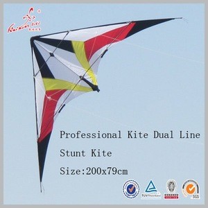 Professional dual line stunt kite