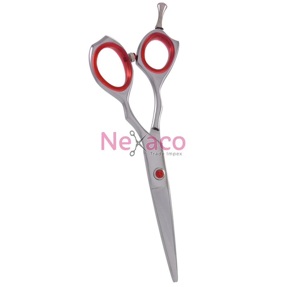 Professional Hairdressing Scissor / Hair Scissor