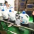 Import Professional OEM detergent factory laundry liquid detergent 4kg from China