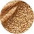 Import Quality barley grain bulk from Kazakhstan from Kazakhstan