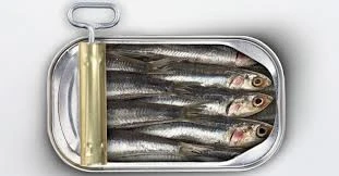 Quality Canned Fish Sardine