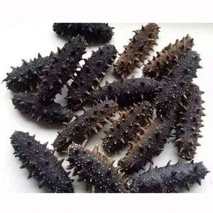 Quality Dried Sea Cucumber