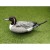 Import Realistic high quality hot selling plastic packaging duck hunting decoy decoy for sale from China